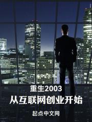 重生2003：从互联网创业开始