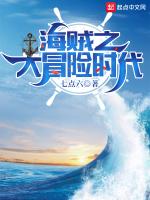 海贼之大冒险时代