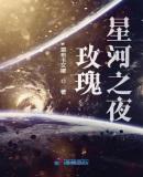 玫瑰星河之夜