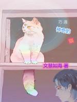 巧遇神奇的猫