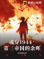 魂穿1944·第三帝国的余晖