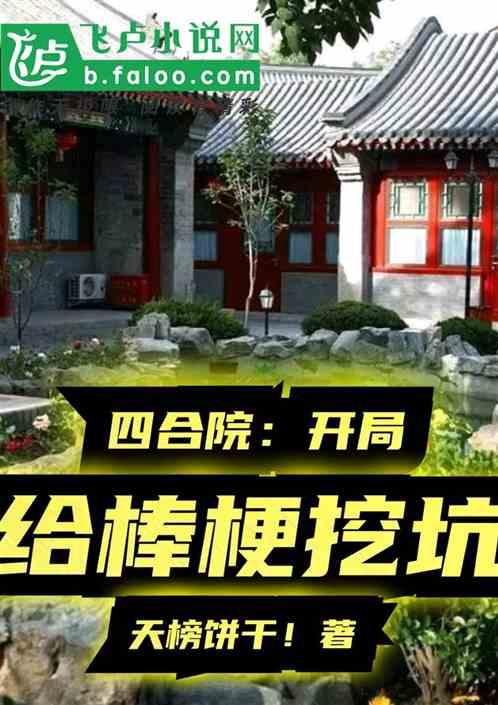 四合院：开局给棒梗挖坑