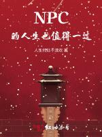 NPC的人生也值得一过