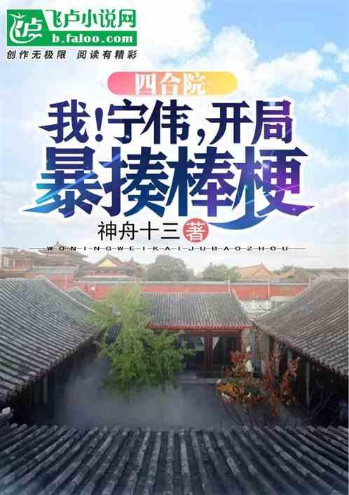 四合院：我！宁伟，开局暴揍棒梗