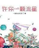 许你一颗流星