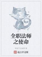 全职法师之使命