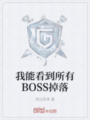 我能看到所有BOSS掉落