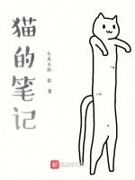 猫的笔记