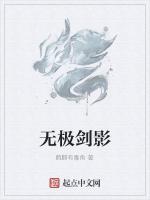 无极剑影