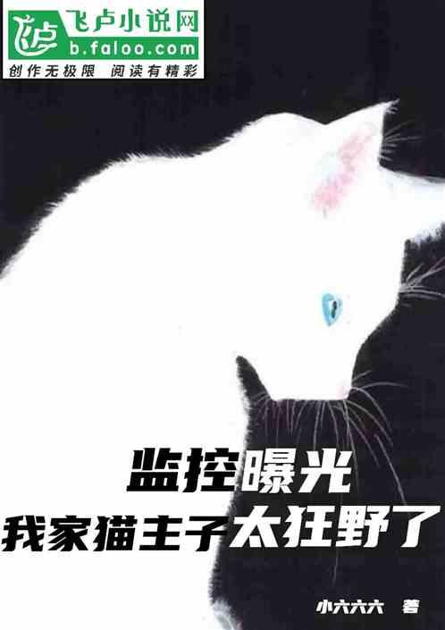 监控曝光：我家猫主子太狂野了