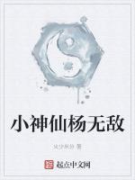 小神仙杨无敌