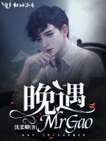 晚遇MrGao