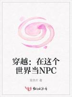 穿越：在这个世界当NPC