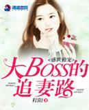 盛世独宠：大boss的追妻路