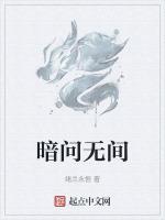 暗问无间