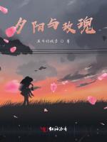 夕阳与玫瑰