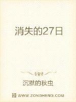 消失的27日