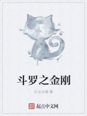 斗罗之金刚