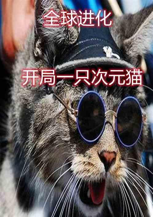 全球进化：开局一只次元猫