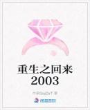 重生之回来2003