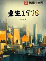 重生1978