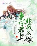 奈何君上非我不嫁