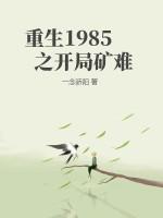 重生1985之开局矿难