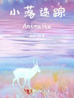 小落迷踪Animalia