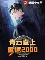 青云直上：重返2000