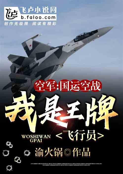 空军：国运空战，我是王牌飞行员