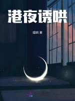 港夜诱哄