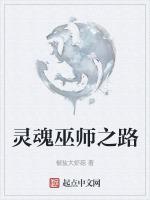 灵魂巫师之路