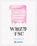 W加Z等于SC