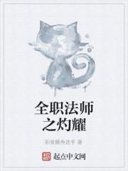 全职法师之灼耀