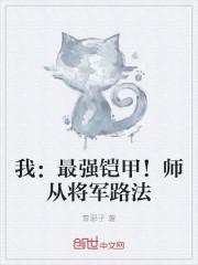 我：最强铠甲！师从将军路法