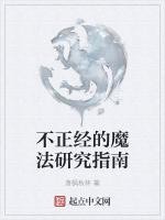 不正经的魔法研究指南