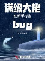 满级大佬在新手村当bug