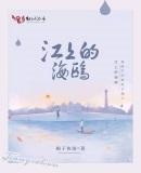 江上的海鸥