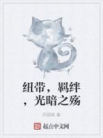 纽带，羁绊，光暗之殇