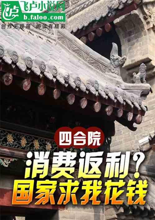 四合院：消费返利？国家求我花钱