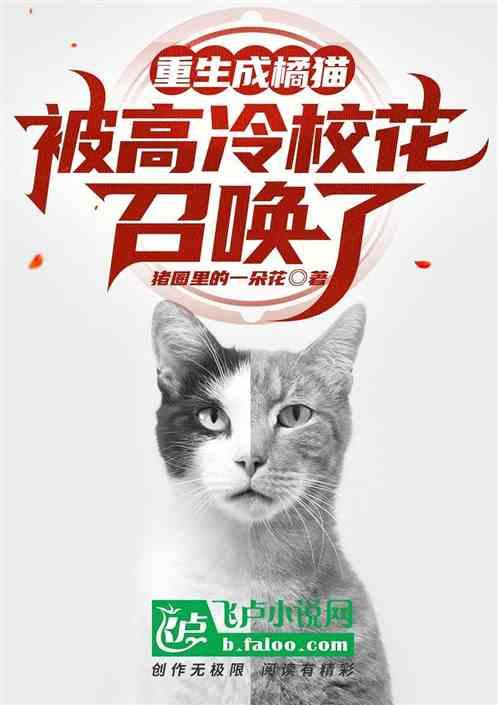 重生成橘猫，被高冷校花召唤